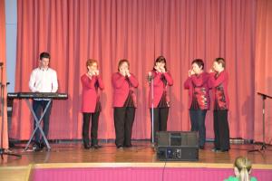 ah TE ORGLICE 2019 na Mirni, 23022019, foto PKL (24)